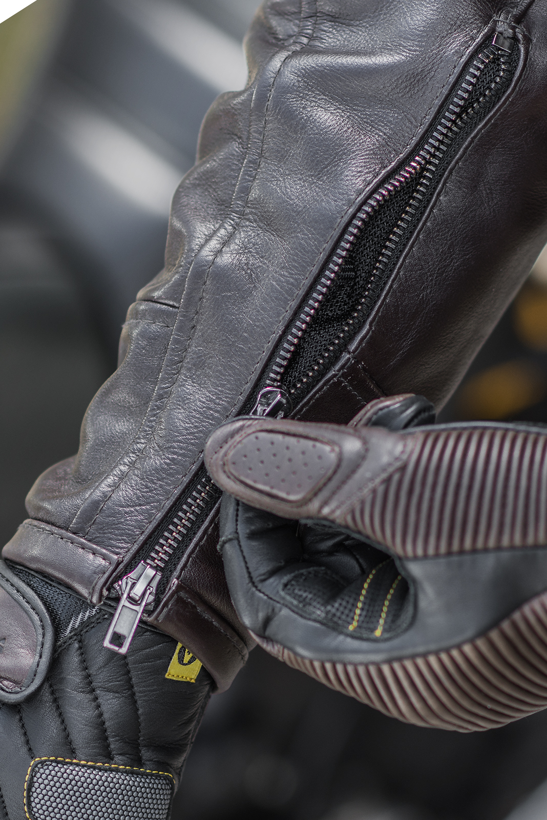 dsc_879720blake_jacketblake_gloves202